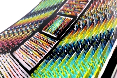 rainbow-pin-platter-detail